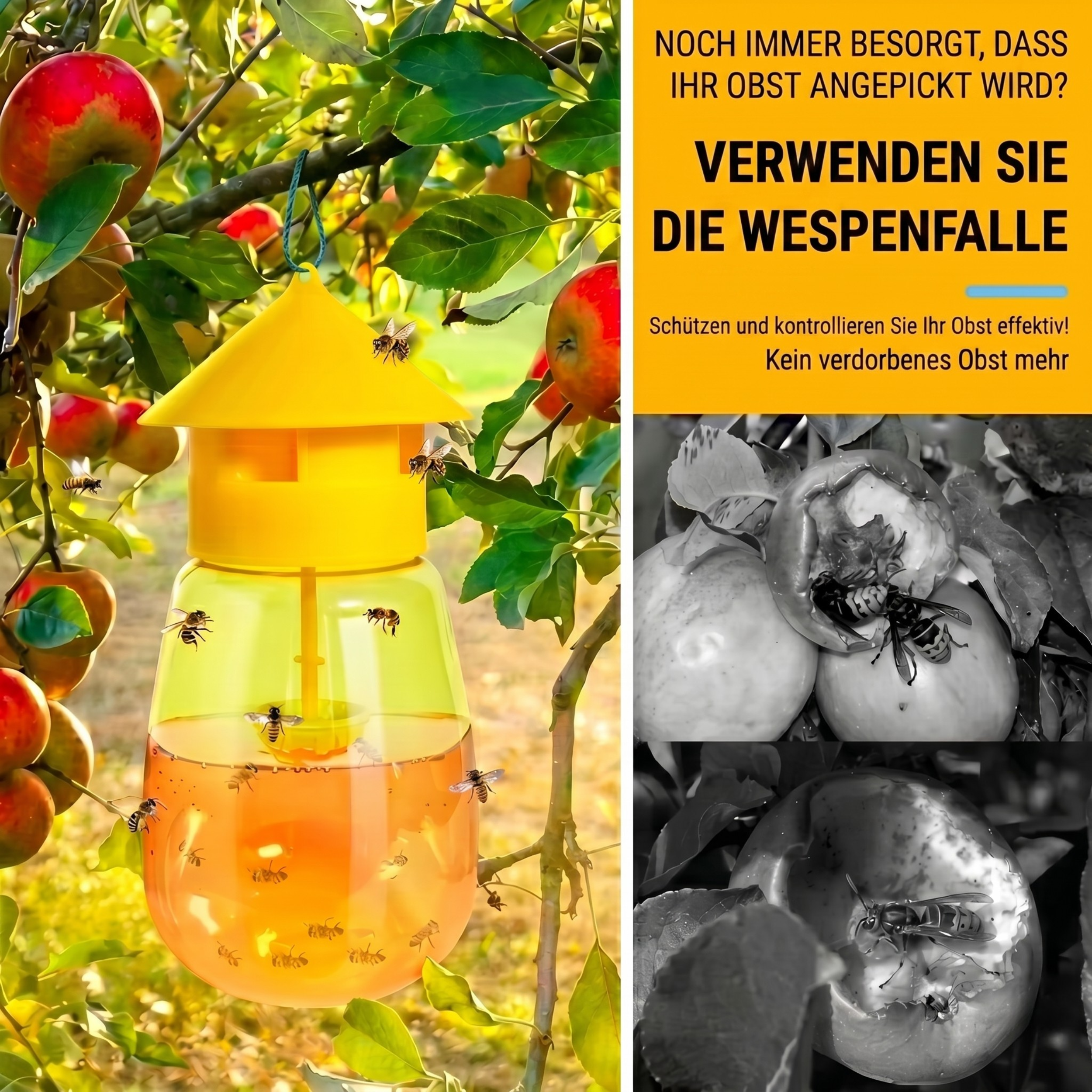 Termego™-Fruchtfliegenfalle