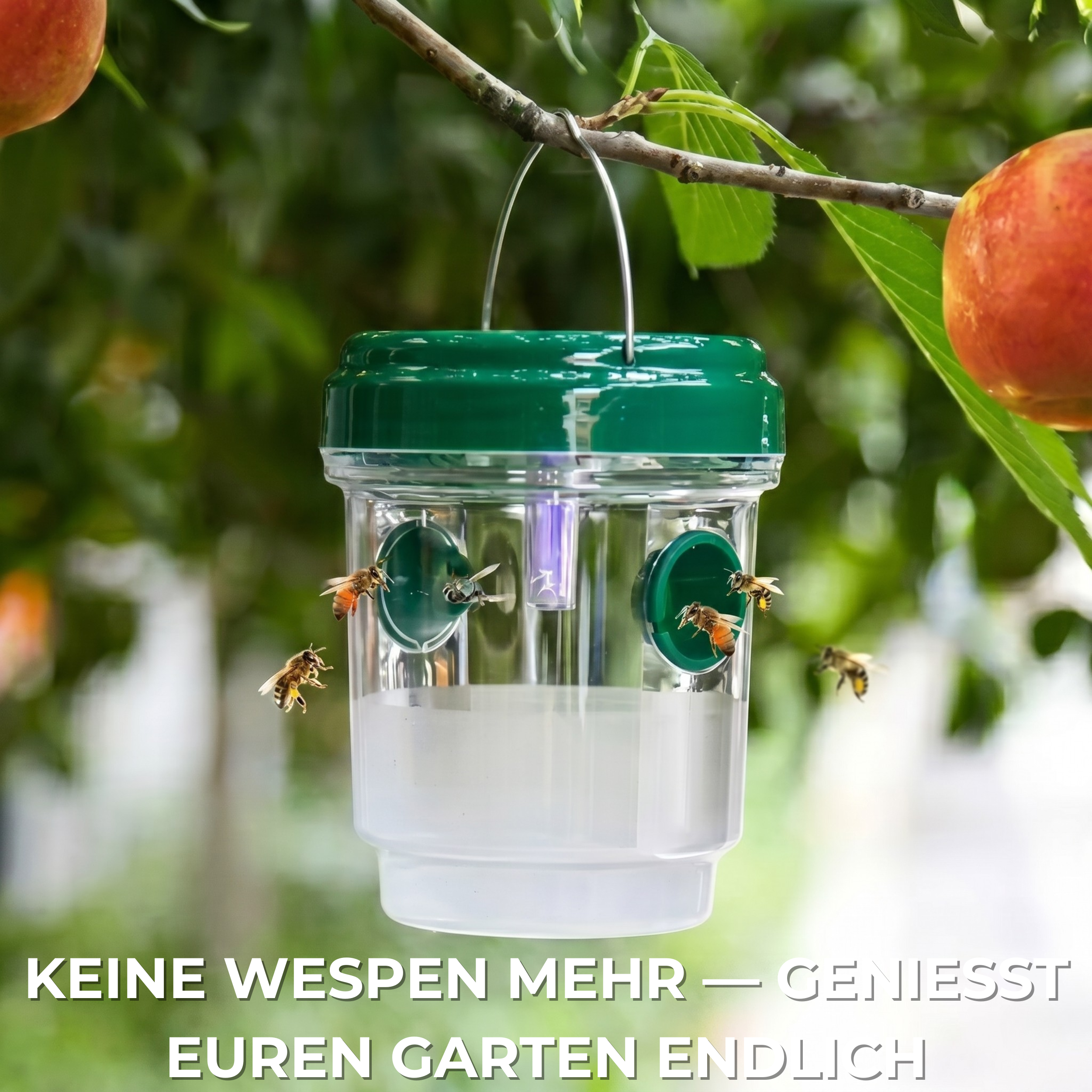 Termego Wespenfalle™ — Wiederverwendbare Wespen & Hornissen Falle